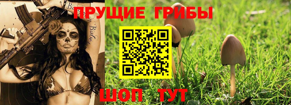Галлюциногенные грибы ЛСД Мурманск